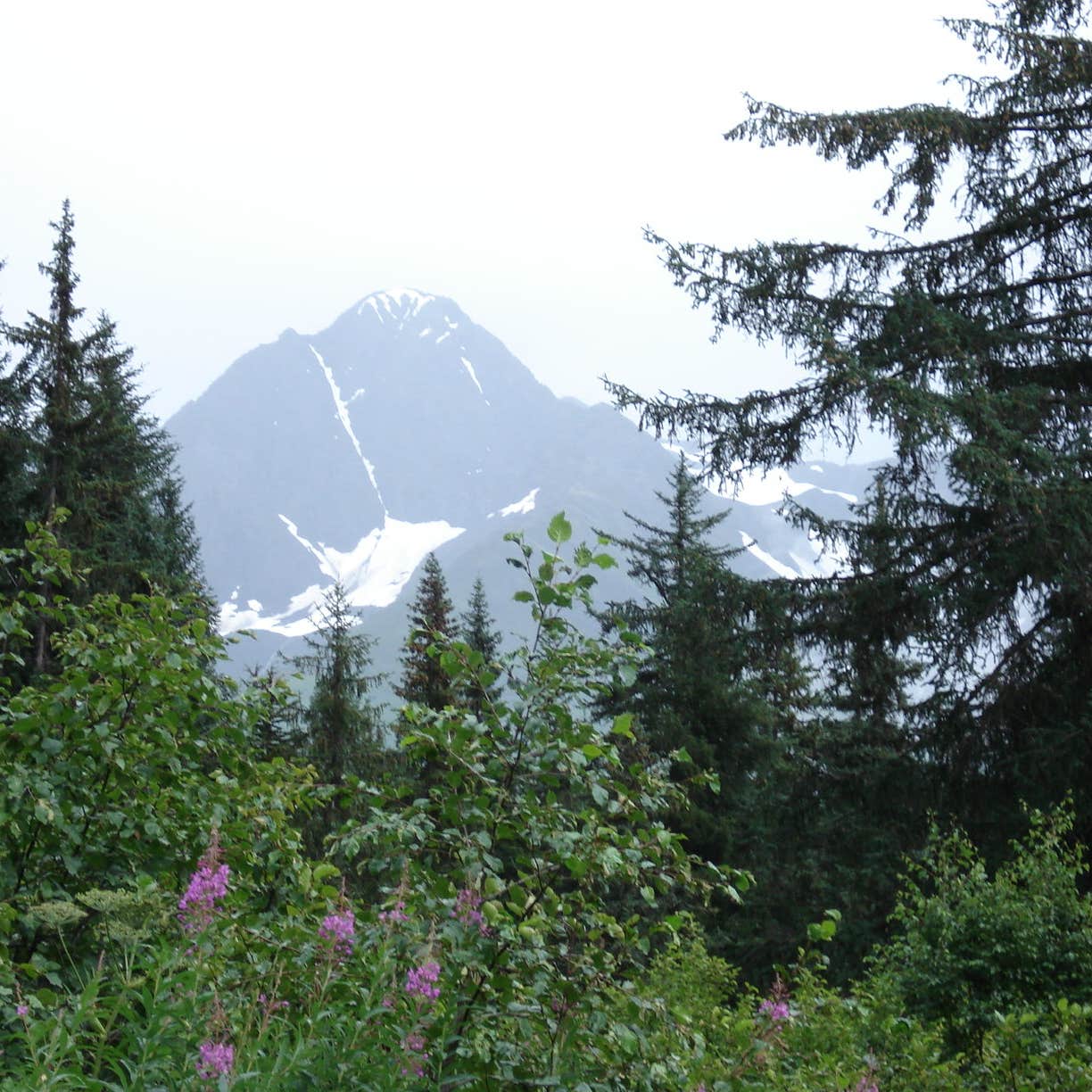 Escape to the Wilderness: Your Guide to Camping in Chugach State Park