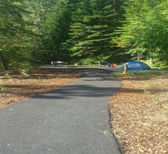 Camper-submitted photo from Sullivan Lake Campground