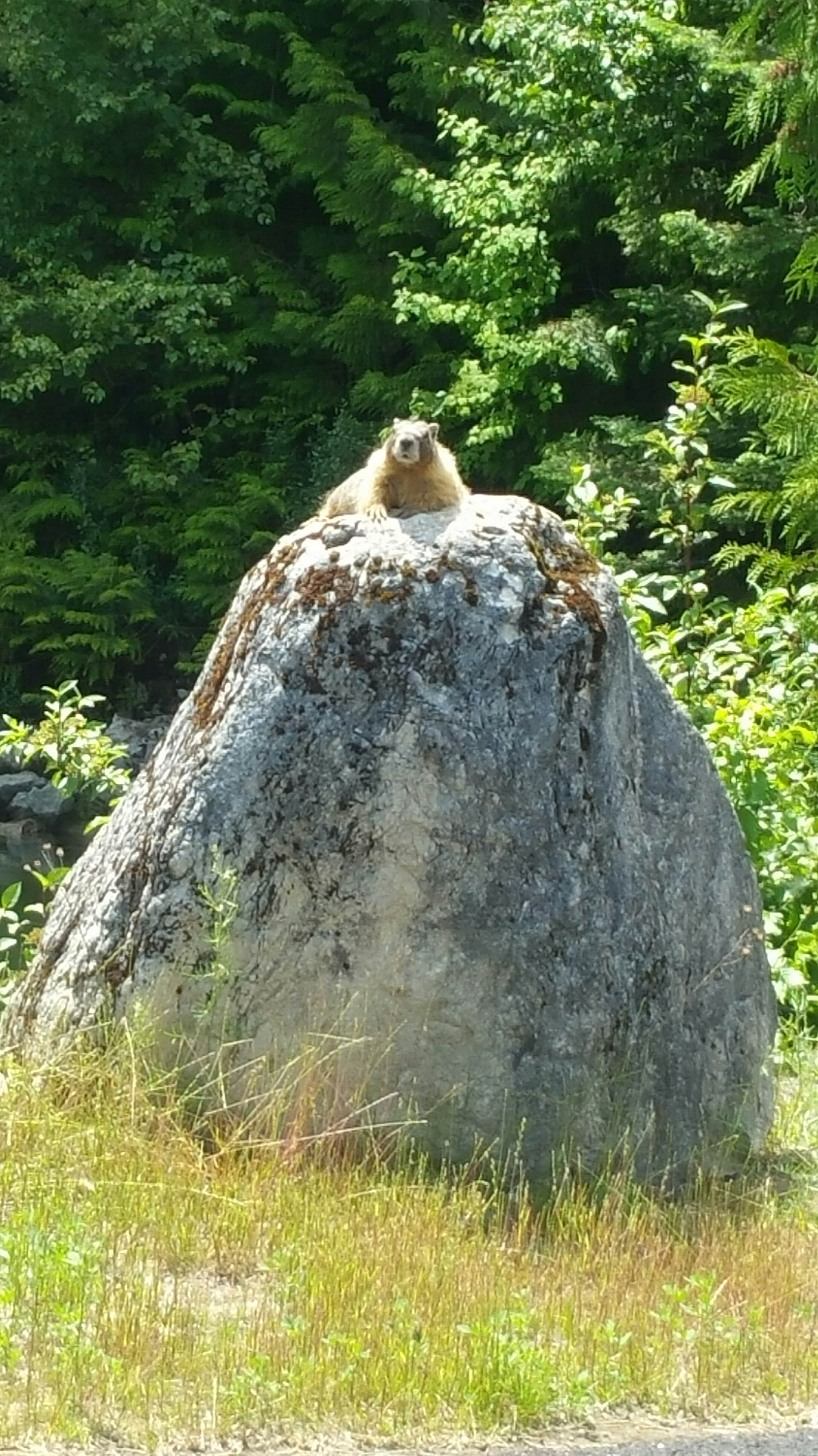 Camper-submitted photo at Boundary Dam Campground near Ione, WA