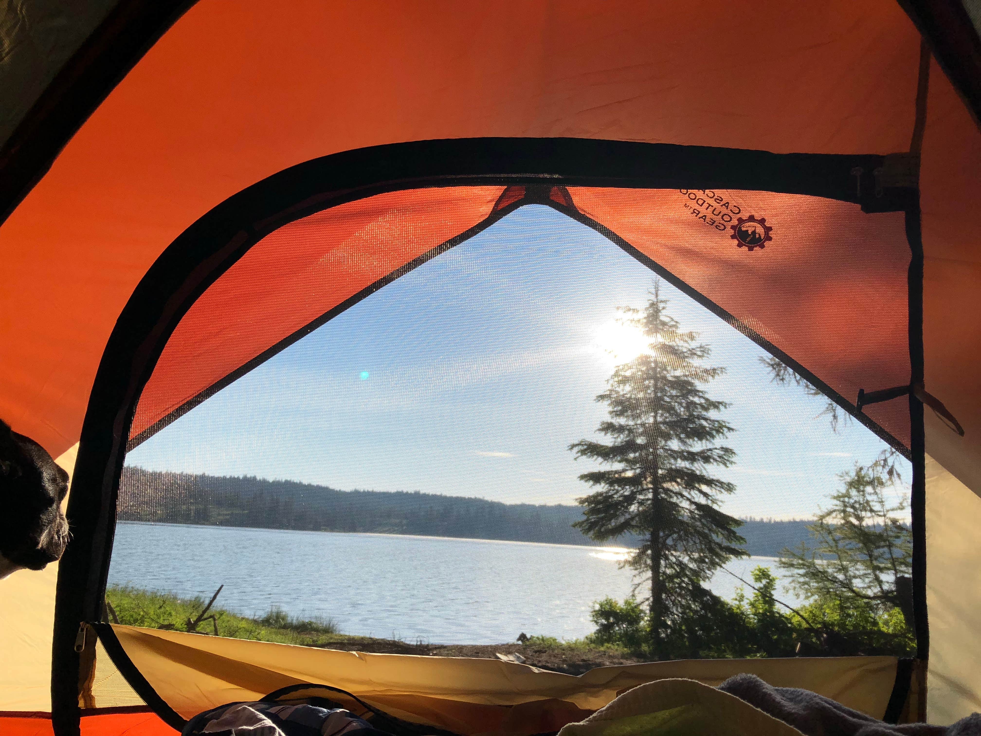 Kiwi S.'s photo of a dispersed camping area at Lost Valley Reservoir Dispersed Camping Area near Warren, ID