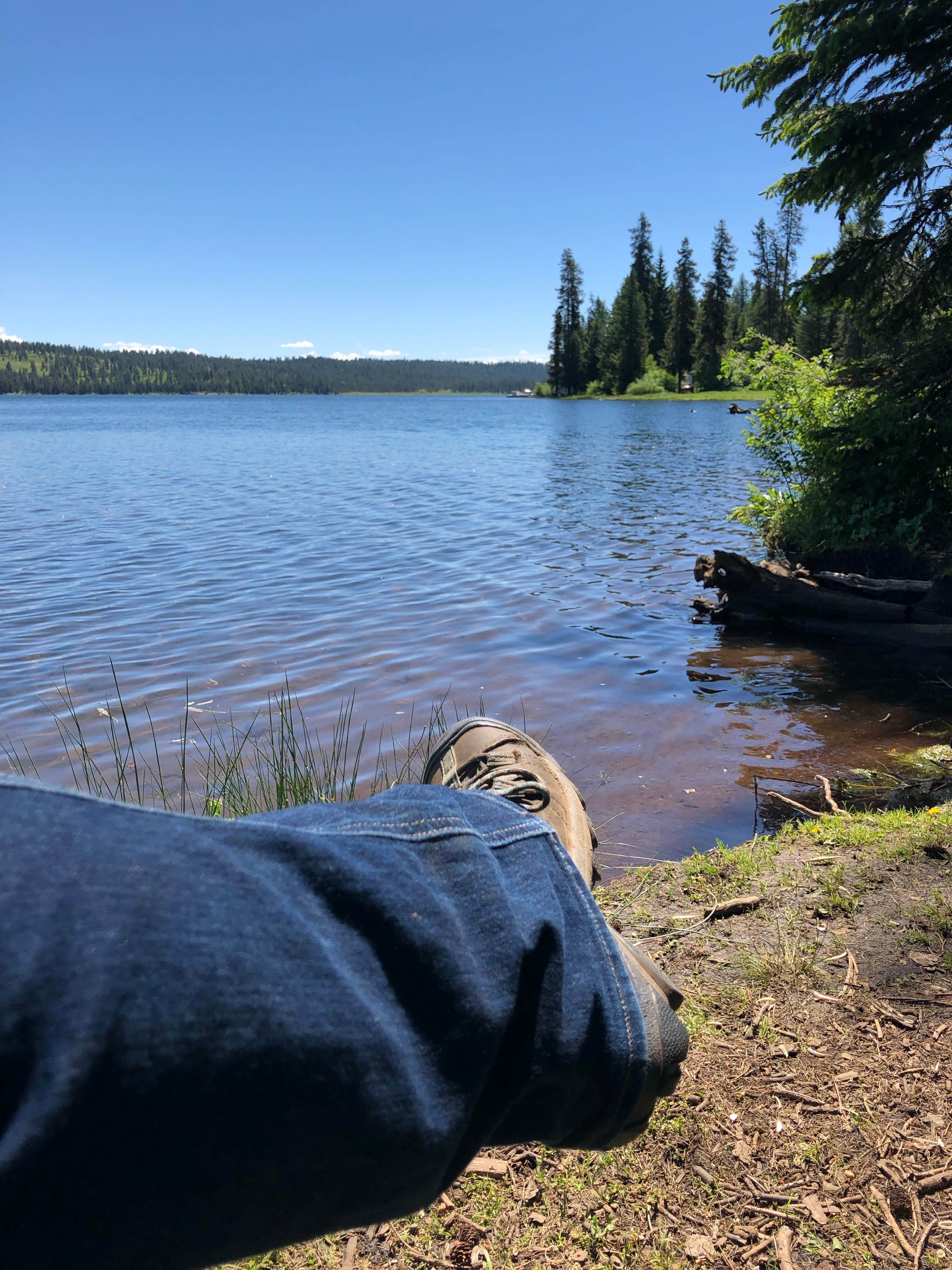 Kiwi S.'s photo of a dispersed camping area at Lost Valley Reservoir Dispersed Camping Area near Joseph, OR