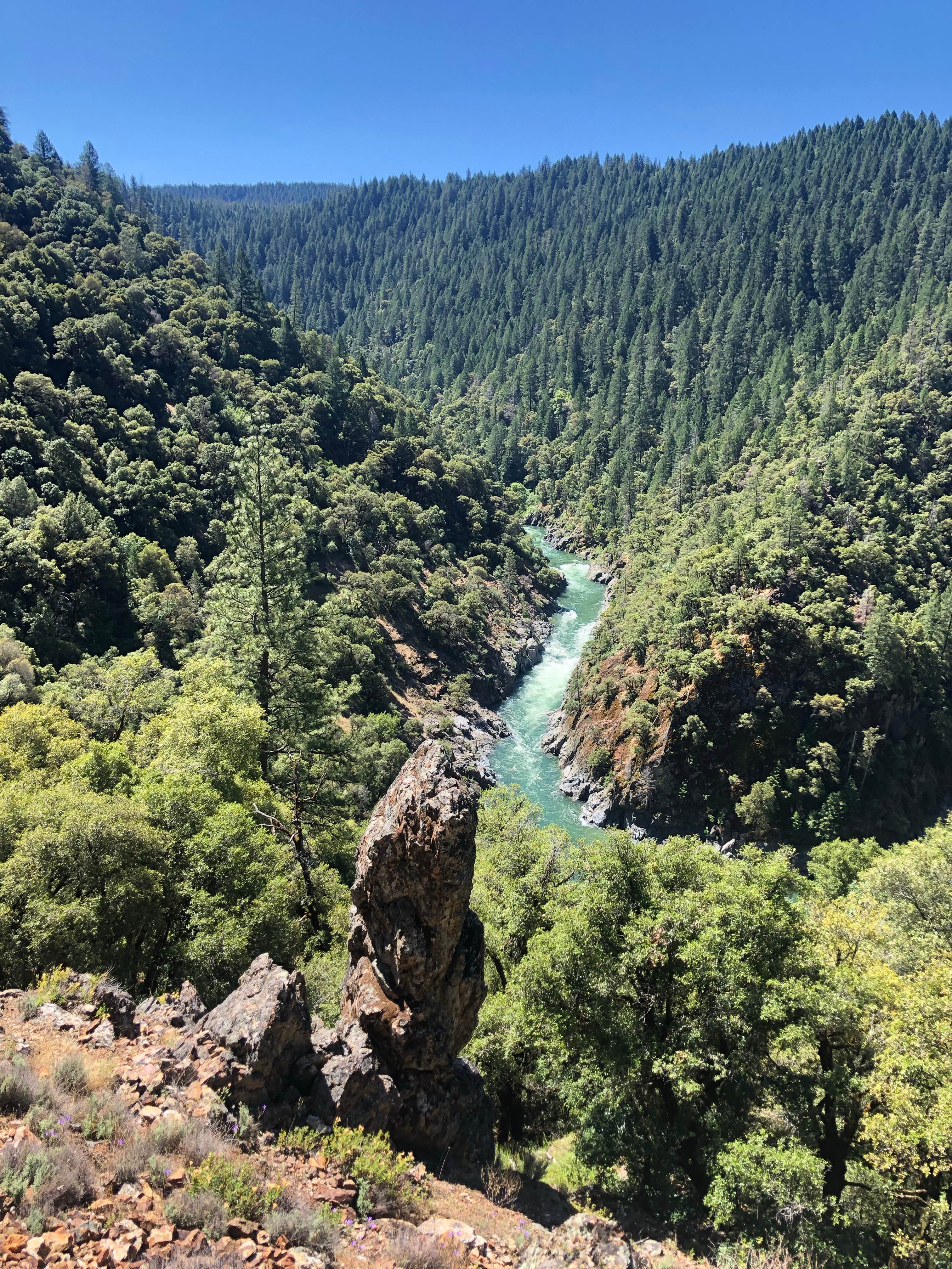 Camper submitted image from South Yuba Campground - 3