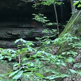 Review photo of Nolin Lake State Park Campground by David R., June 20, 2019