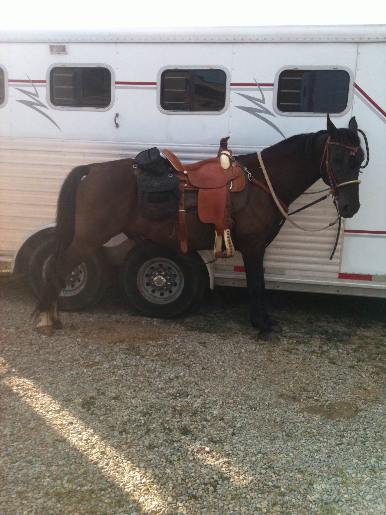 Camper-submitted photo at Wranglers Campground near Bumpus Mills, TN