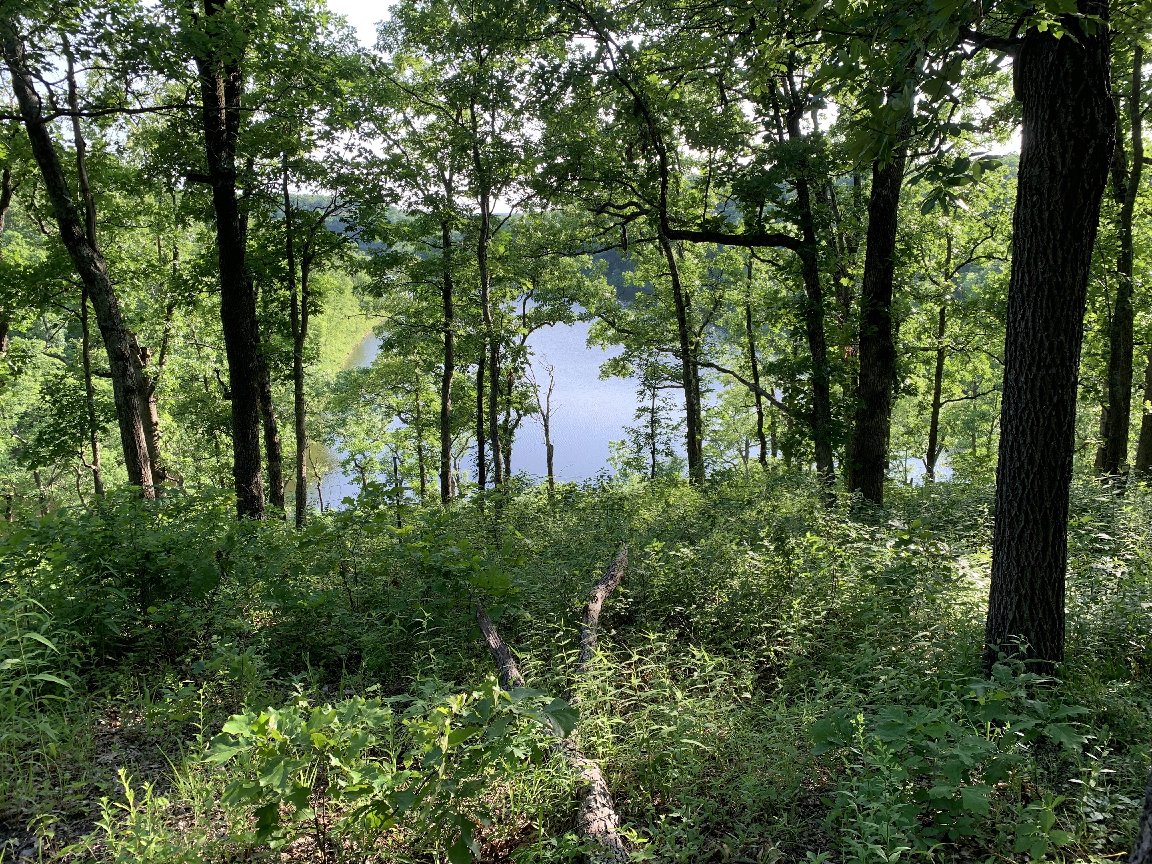 Camper-submitted photo at Cuivre River State Park Campground in Missouri