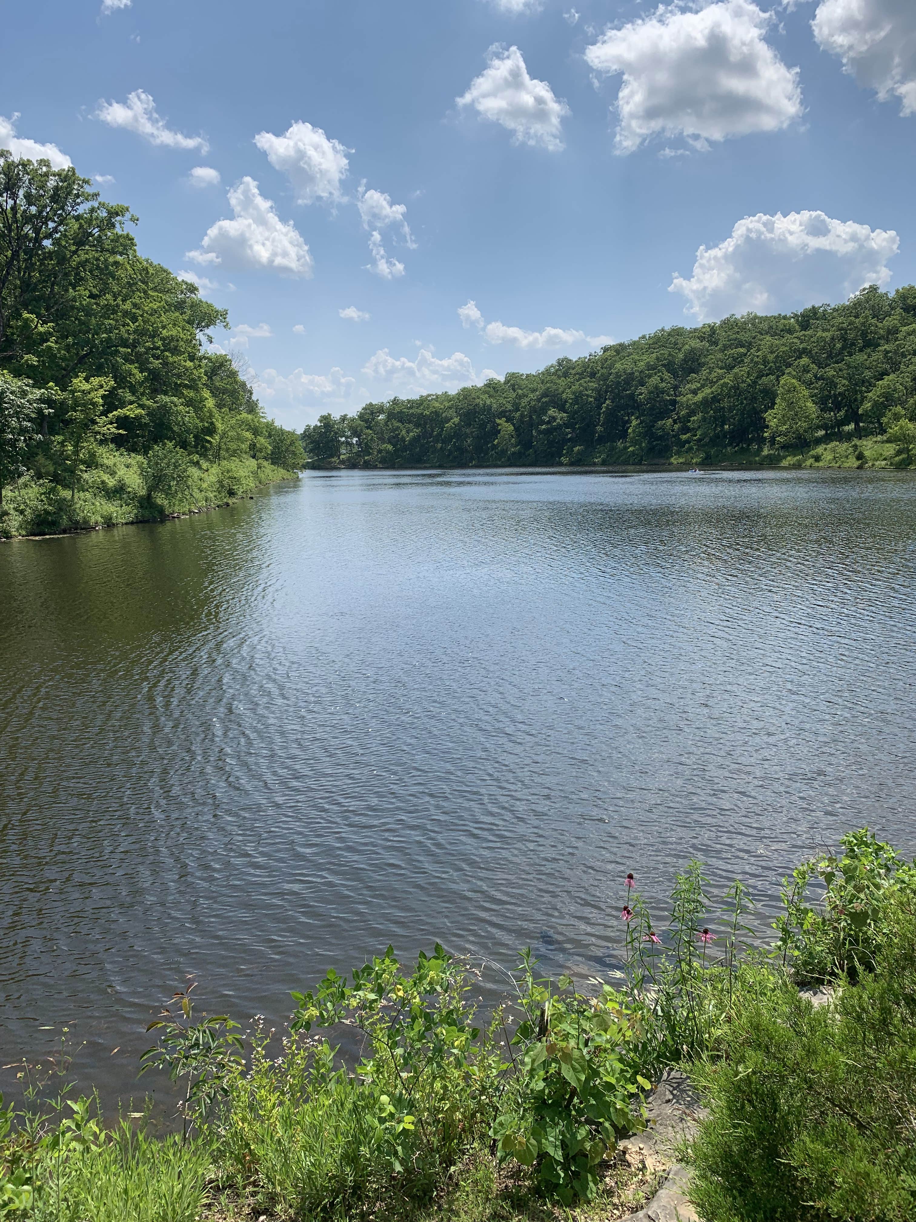 Camper submitted image from Cuivre River State Park Campground - 1