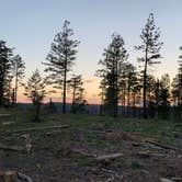 Review photo of Carr Lake Campground on Forest Road 9350 by Nick B., June 20, 2019