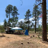 Review photo of Carr Lake Campground on Forest Road 9350 by Nick B., June 20, 2019