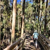 Review photo of Blue Spring State Park Campground by David G., June 20, 2019