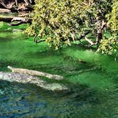 Review photo of Blue Spring State Park Campground by David G., June 20, 2019