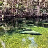 Review photo of Blue Spring State Park Campground by David G., June 20, 2019