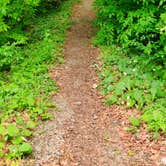 Review photo of Tobyhanna State Park Campground by Ashley A., June 20, 2019