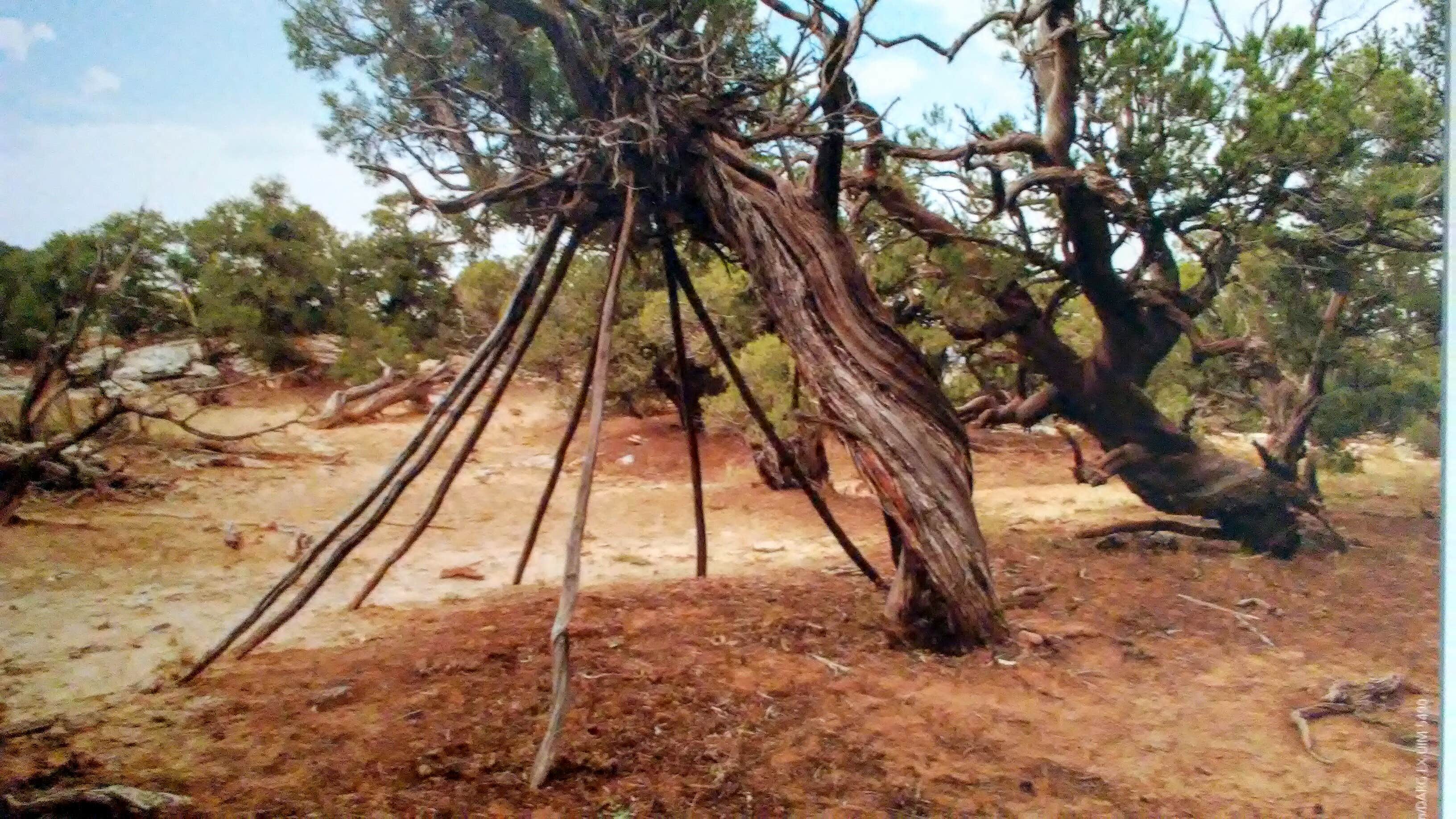 Camper-submitted photo at Ken's Lake Campground near Dugway, UT