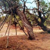 Review photo of Ken's Lake Campground by GEORGE R., June 20, 2019