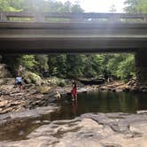 Review photo of Fall Creek Falls State Park Campground by Jessica N., June 20, 2019