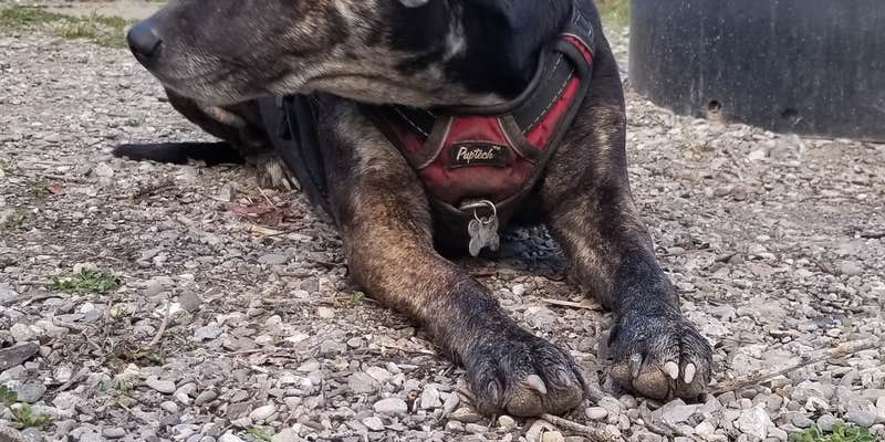 Camper submitted image from Wood Lake