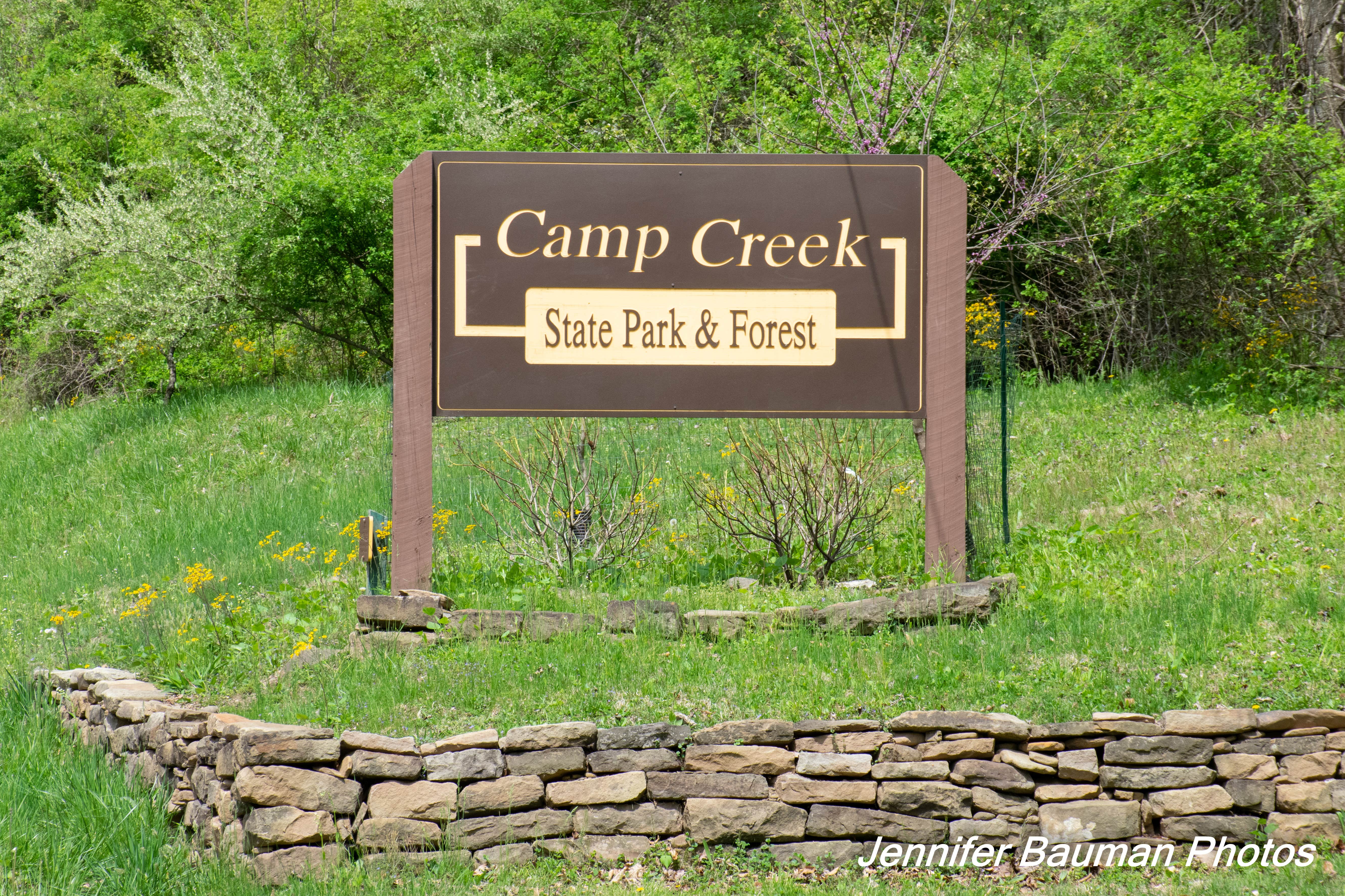 Camper submitted image from Mash Fork Campground — Camp Creek State Park - 5