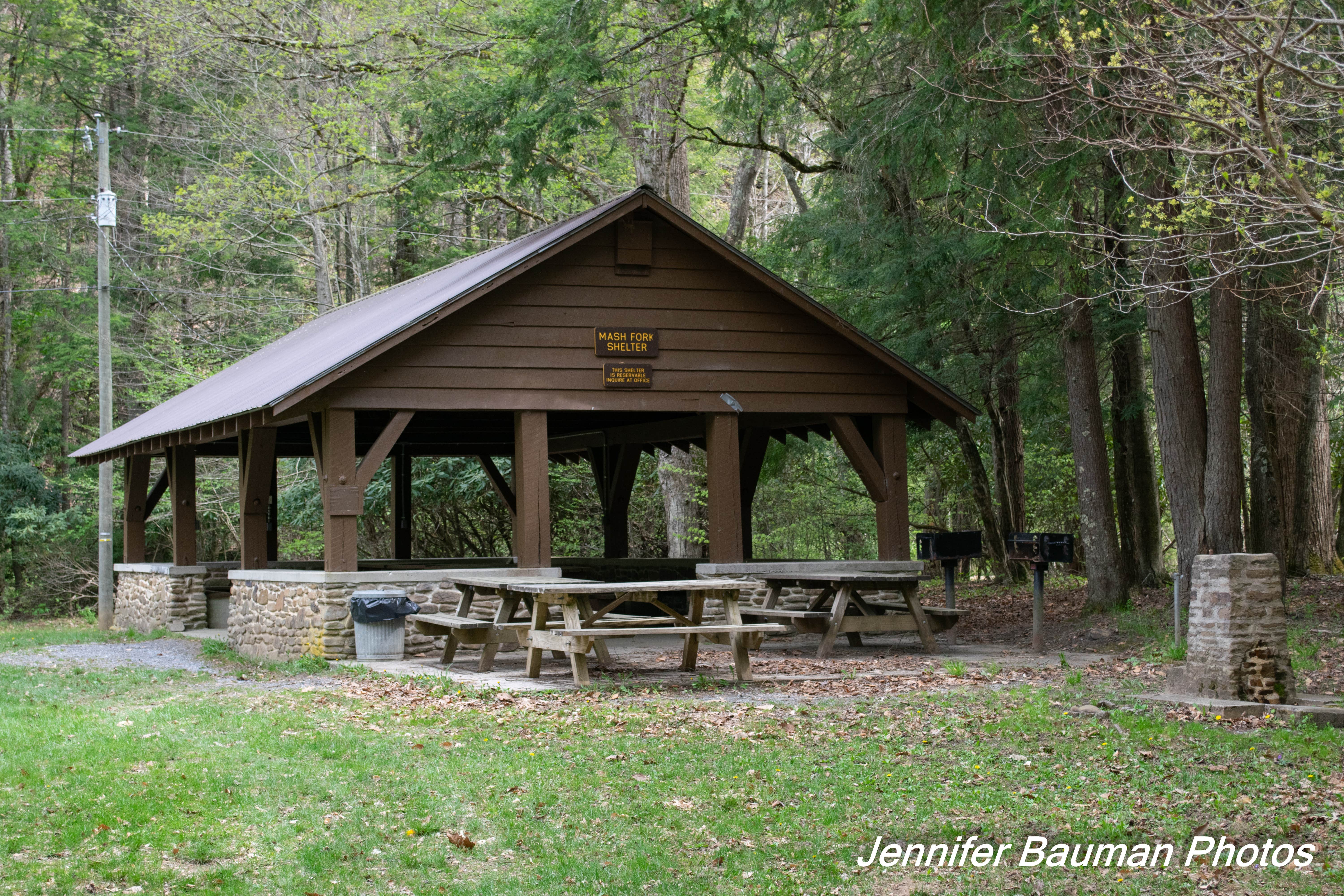 Camper submitted image from Mash Fork Campground — Camp Creek State Park - 5