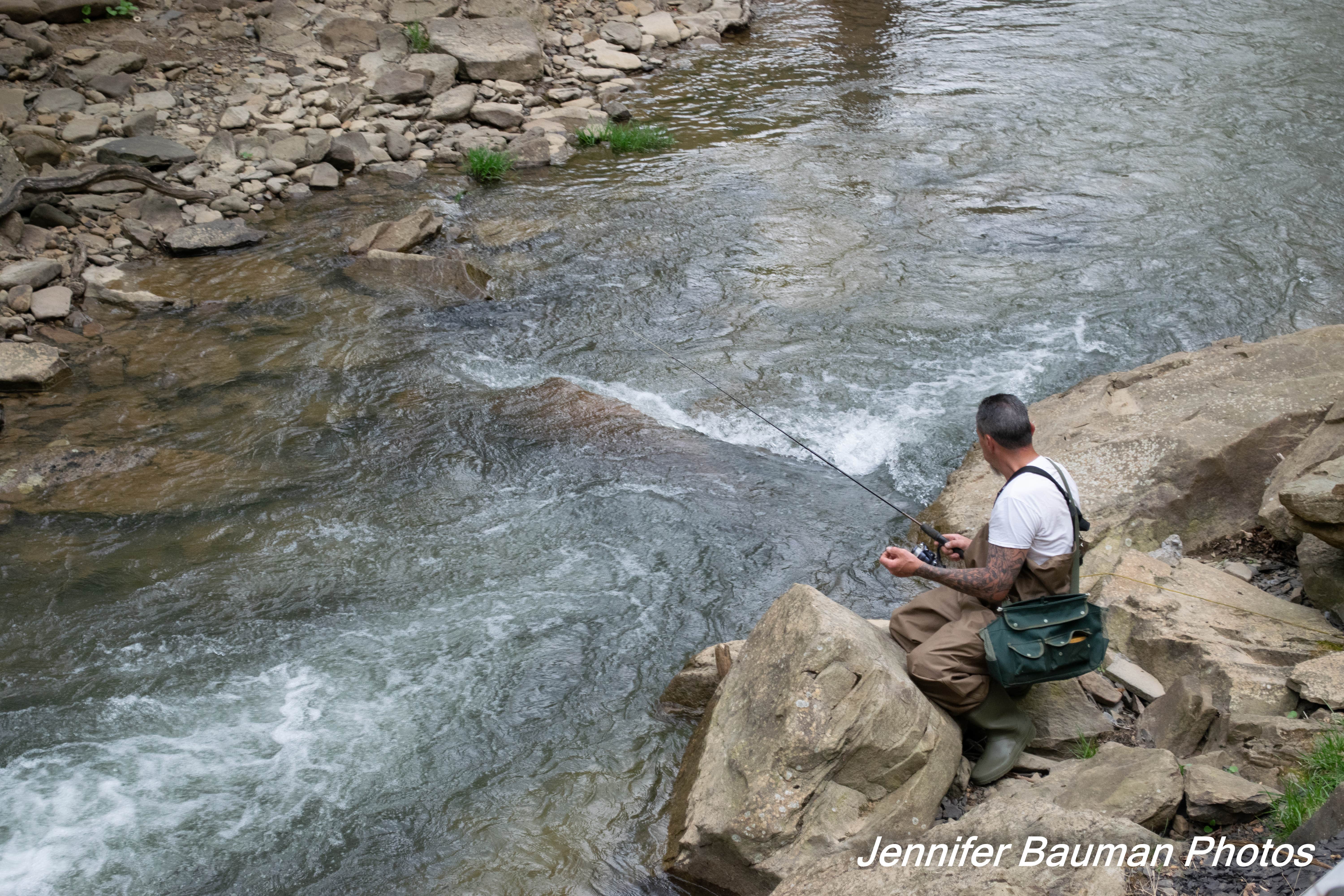 Camper submitted image from Mash Fork Campground — Camp Creek State Park - 4