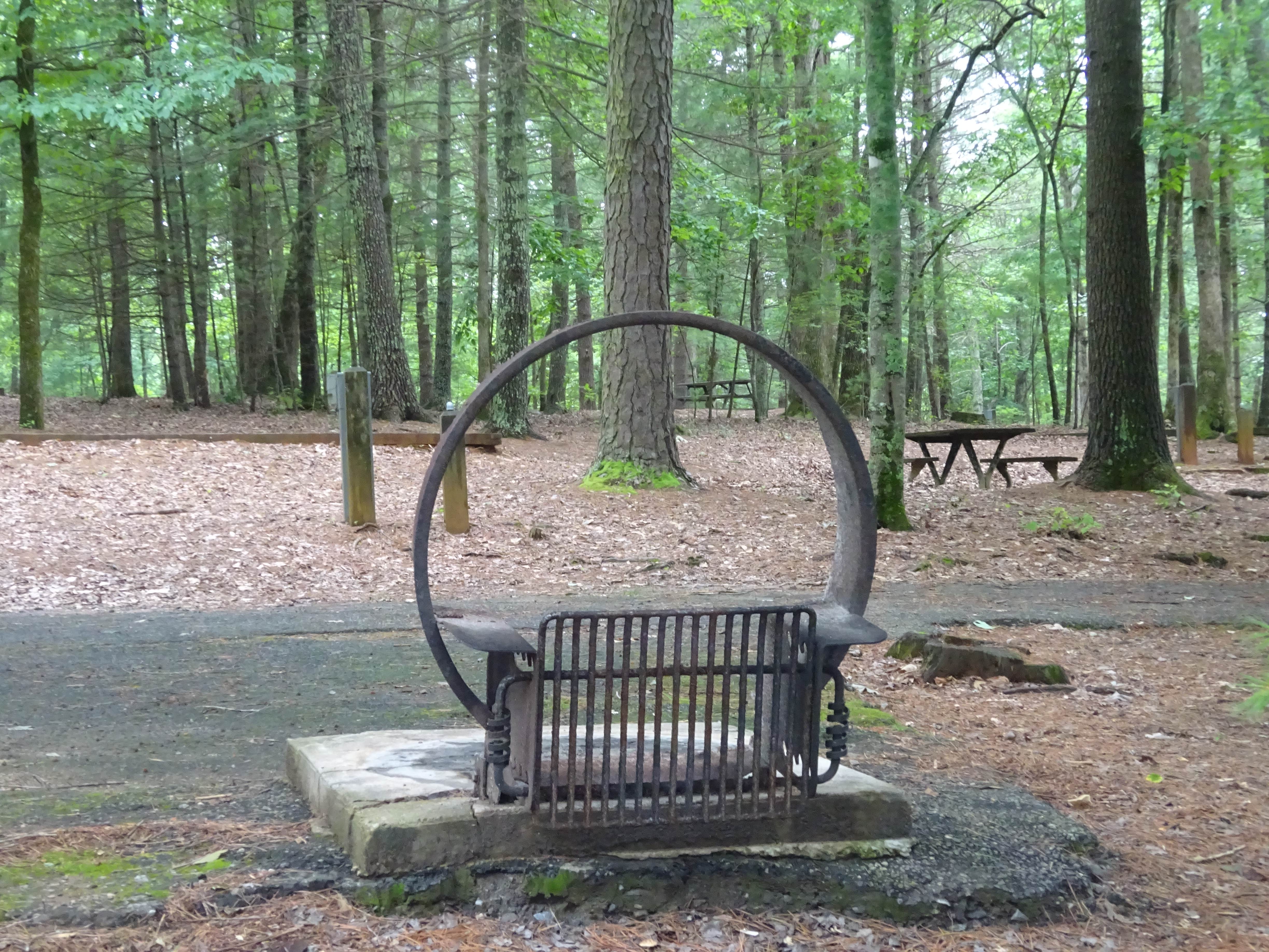 Camper-submitted photo at Fairy Stone State Park Campground near Cana, VA