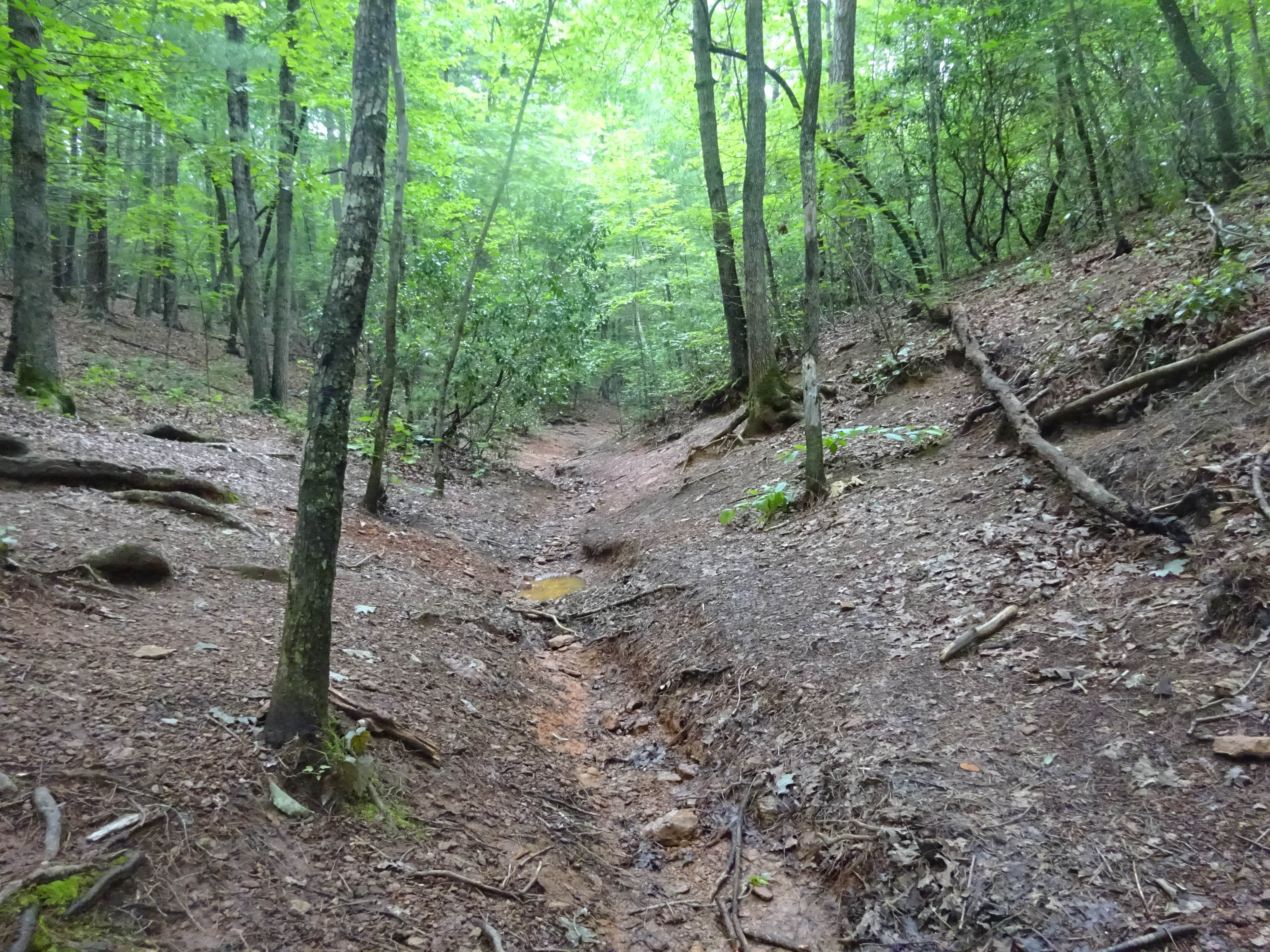 Camper-submitted photo at Fairy Stone State Park Campground near Cana, VA