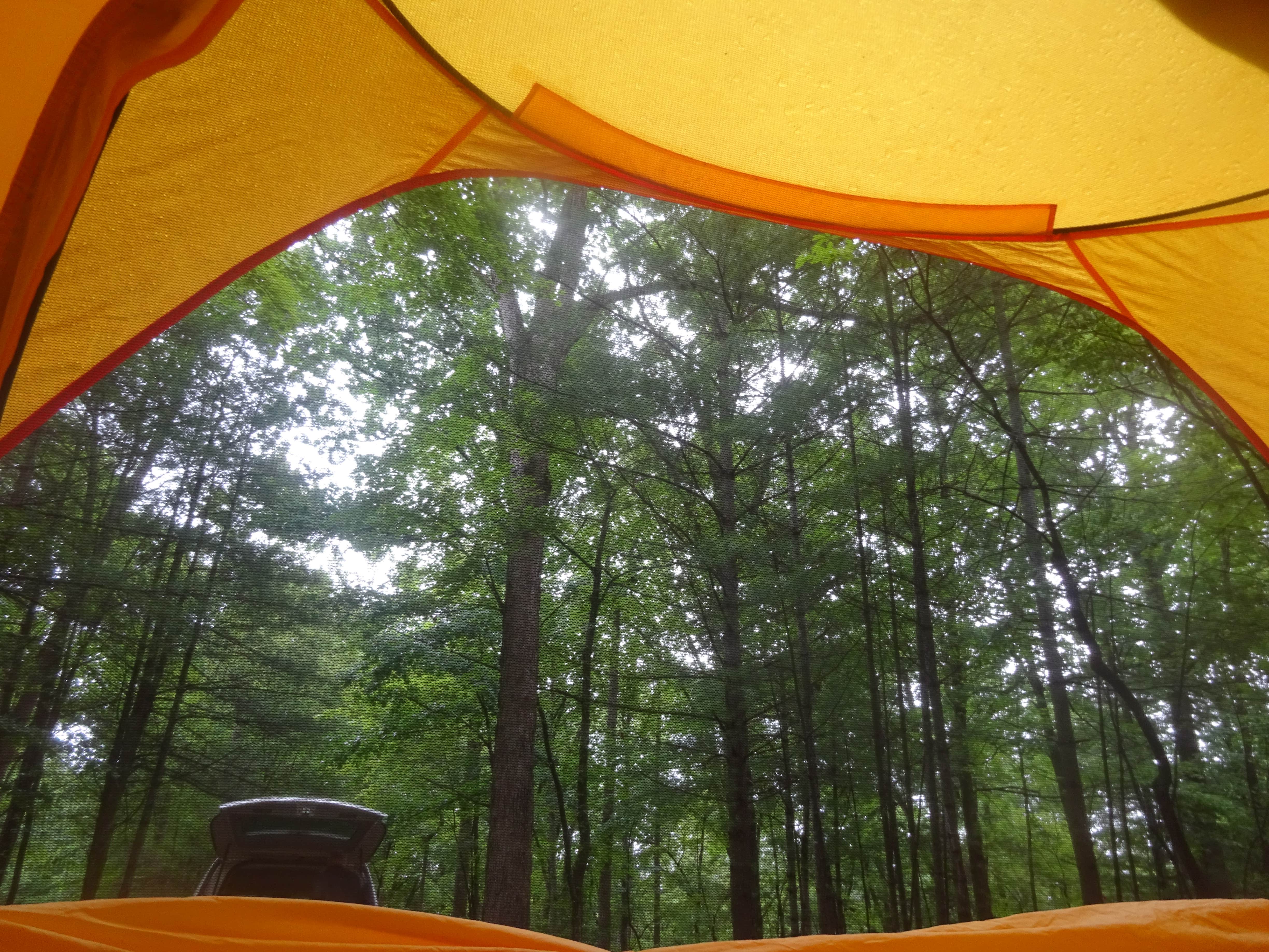 Kirsten J.'s photo at Fairy Stone State Park Campground near Pine Hall, NC