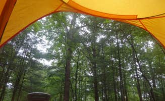 Kirsten J.'s photo at Fairy Stone State Park Campground near Pine Hall, NC