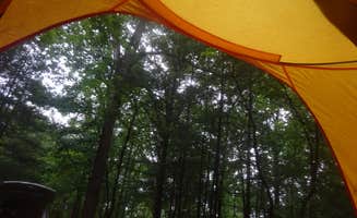 Kirsten J.'s photo at Fairy Stone State Park Campground near Stuart, VA