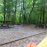 Review photo of Fairy Stone State Park Campground by Kirsten J., June 20, 2019