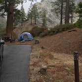 Review photo of Buckhorn Campground by Vickie C., June 20, 2019