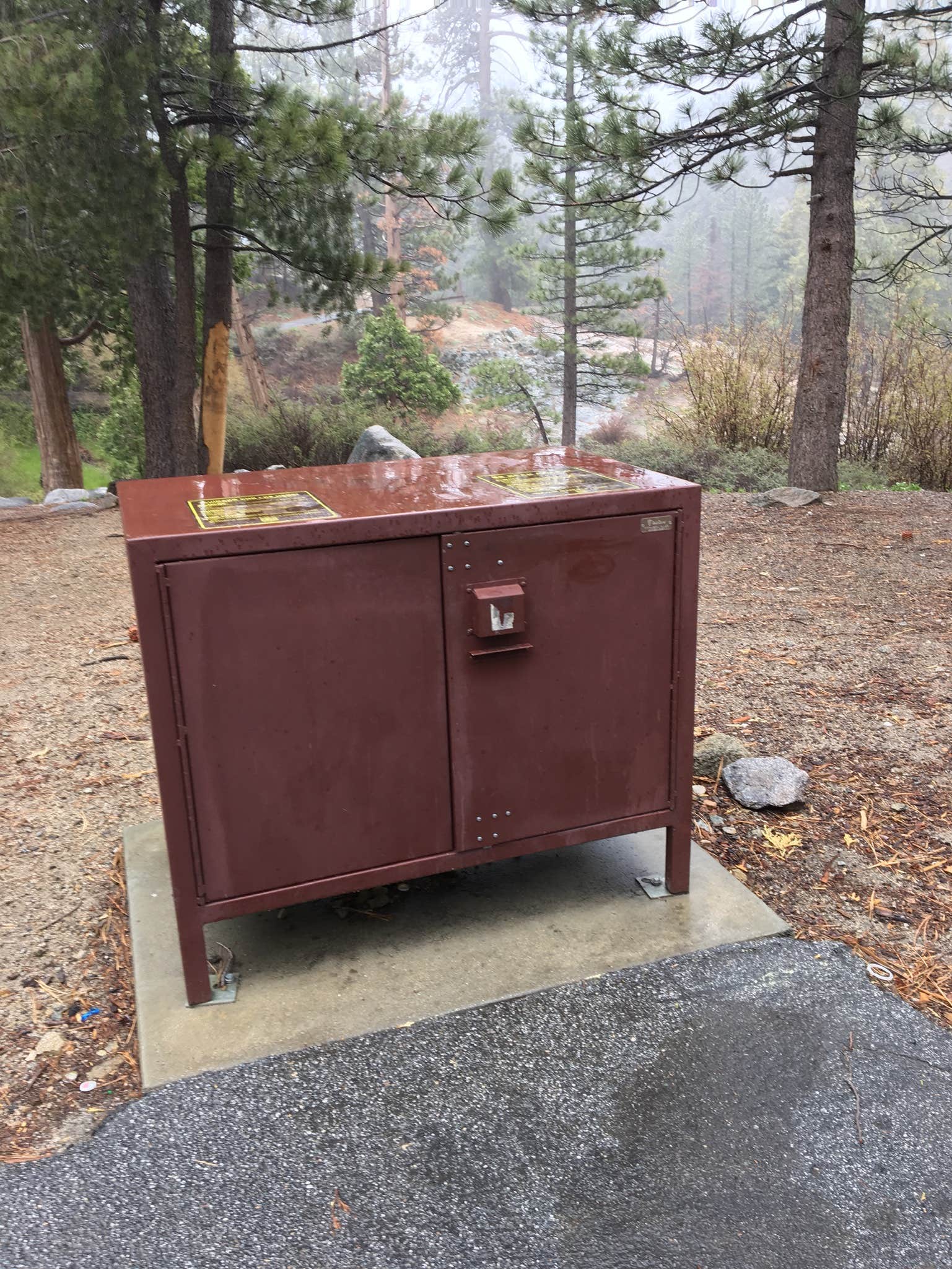 Camper submitted image from Buckhorn Campground - 4