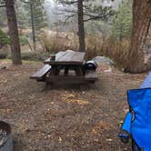 Review photo of Buckhorn Campground by Vickie C., June 20, 2019