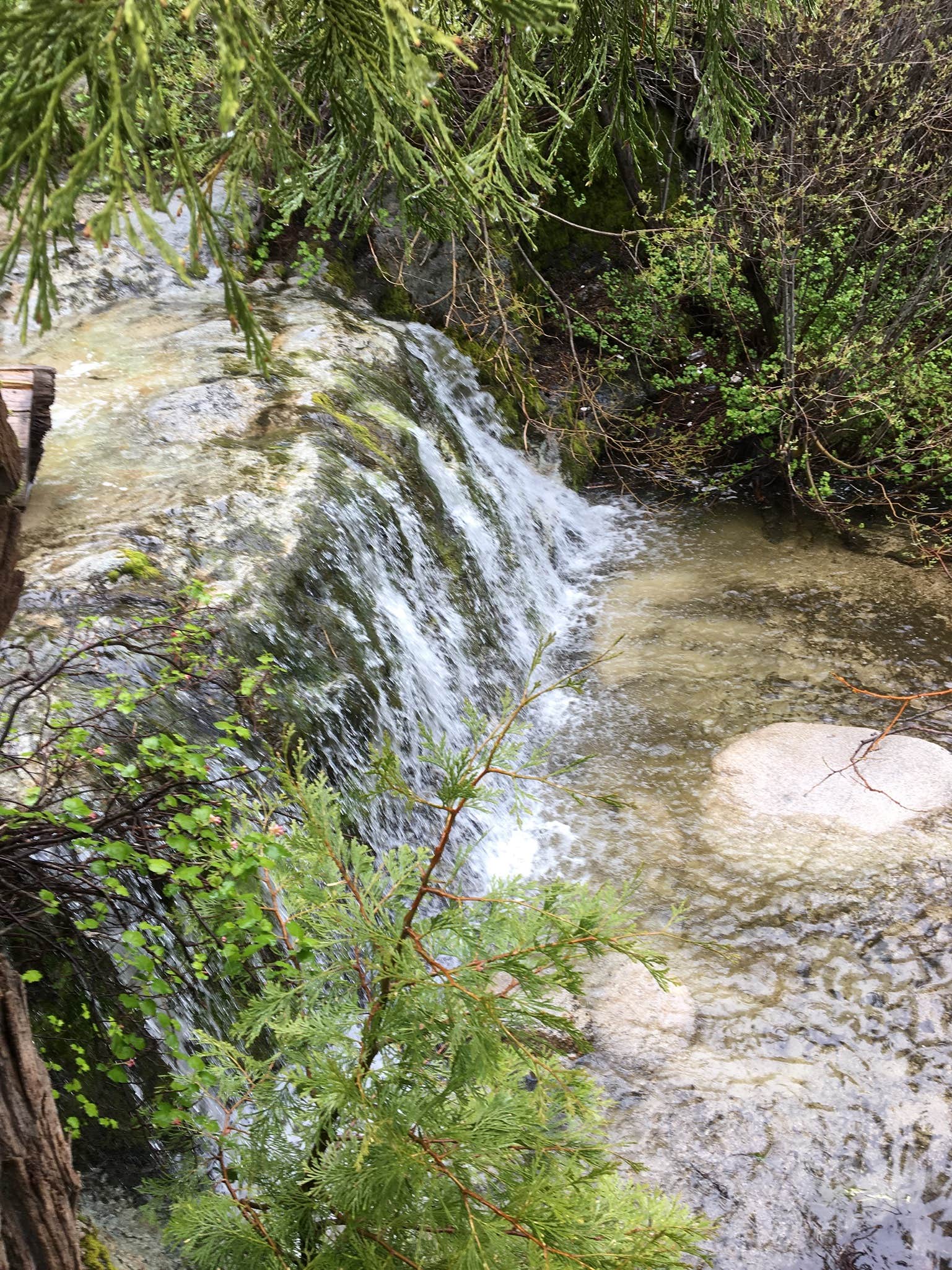 Camper-submitted photo at Buckhorn Campground near Mount Baldy, CA