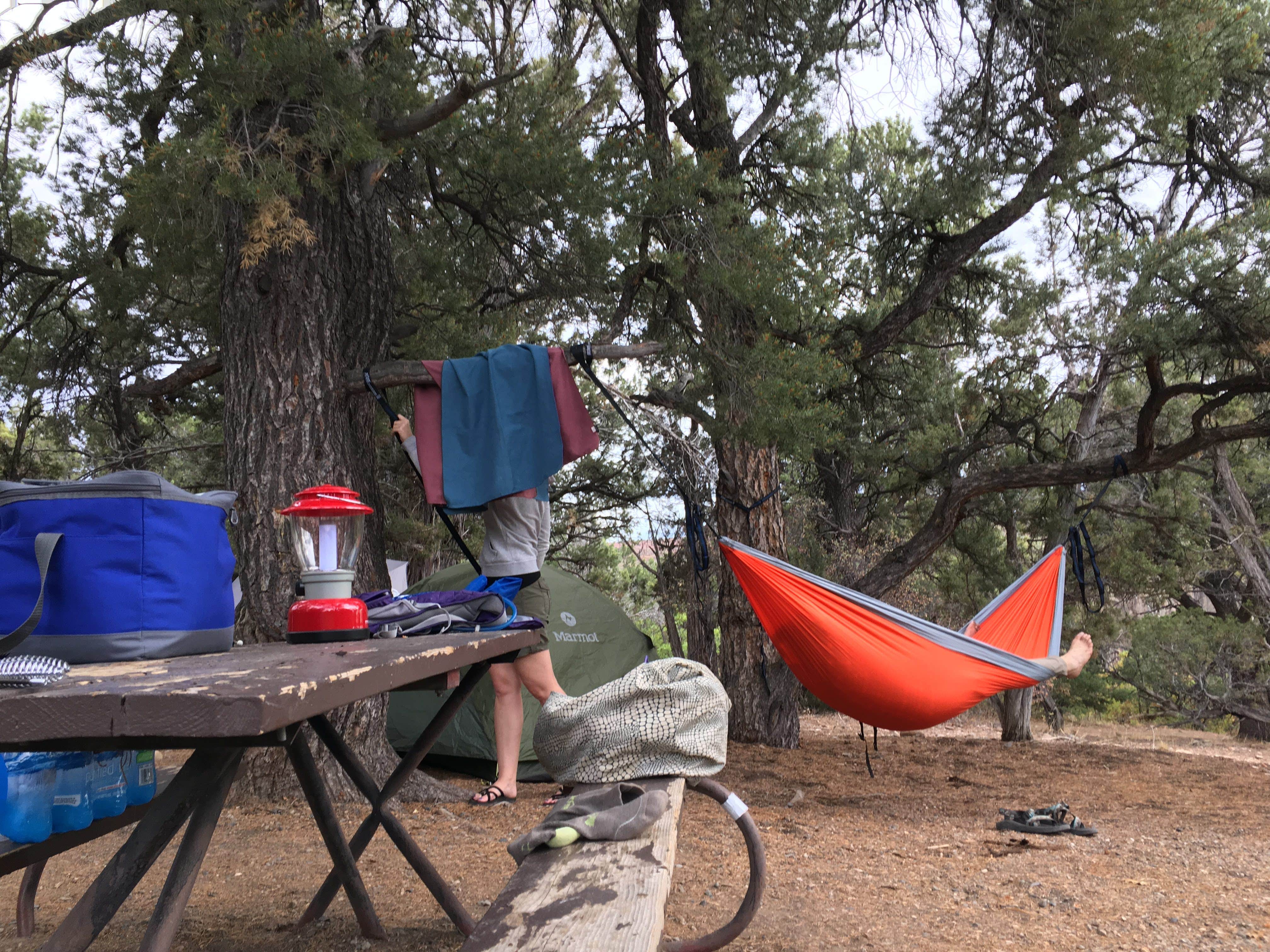 Hamen L.'s photo at North Rim Campground — Black Canyon of the Gunnison National Park near Grand Mesa, Uncompahgre, and Gunnison National Forests