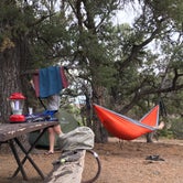 Review photo of North Rim Campground — Black Canyon of the Gunnison National Park by Hamen L., June 20, 2019