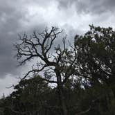 Review photo of North Rim Campground — Black Canyon of the Gunnison National Park by Hamen L., June 20, 2019