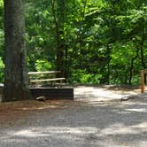 Review photo of COE Philpott Lake Goose Point Park by Kirsten J., June 20, 2019