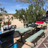 Review photo of Joshua Tree Lake RV & Campground by Danielle P., June 20, 2019