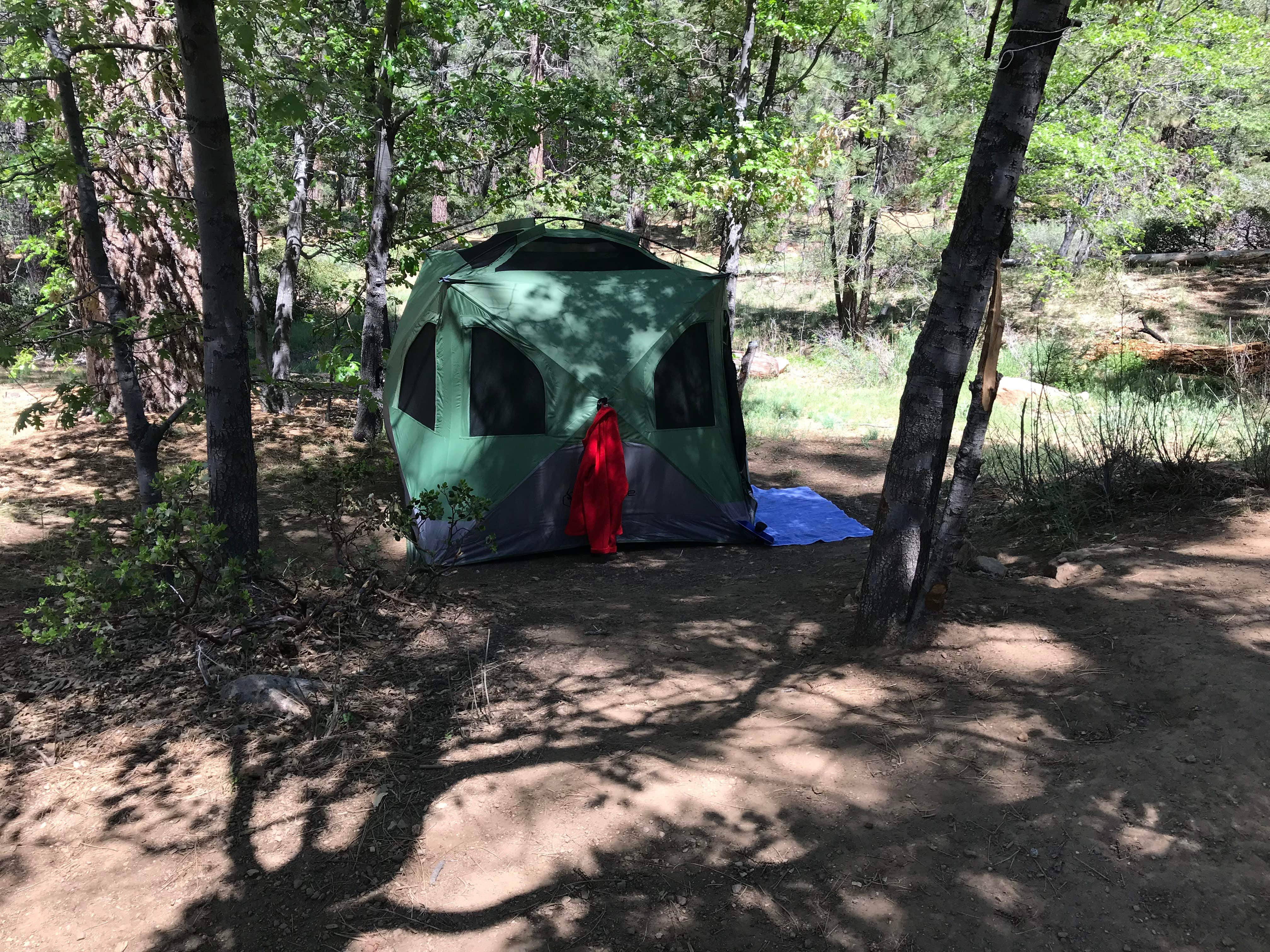 Camper submitted image from Pine Knot Campground - 5