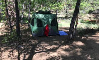 Mike G.'s photo at Pine Knot Campground near Fawnskin, CA