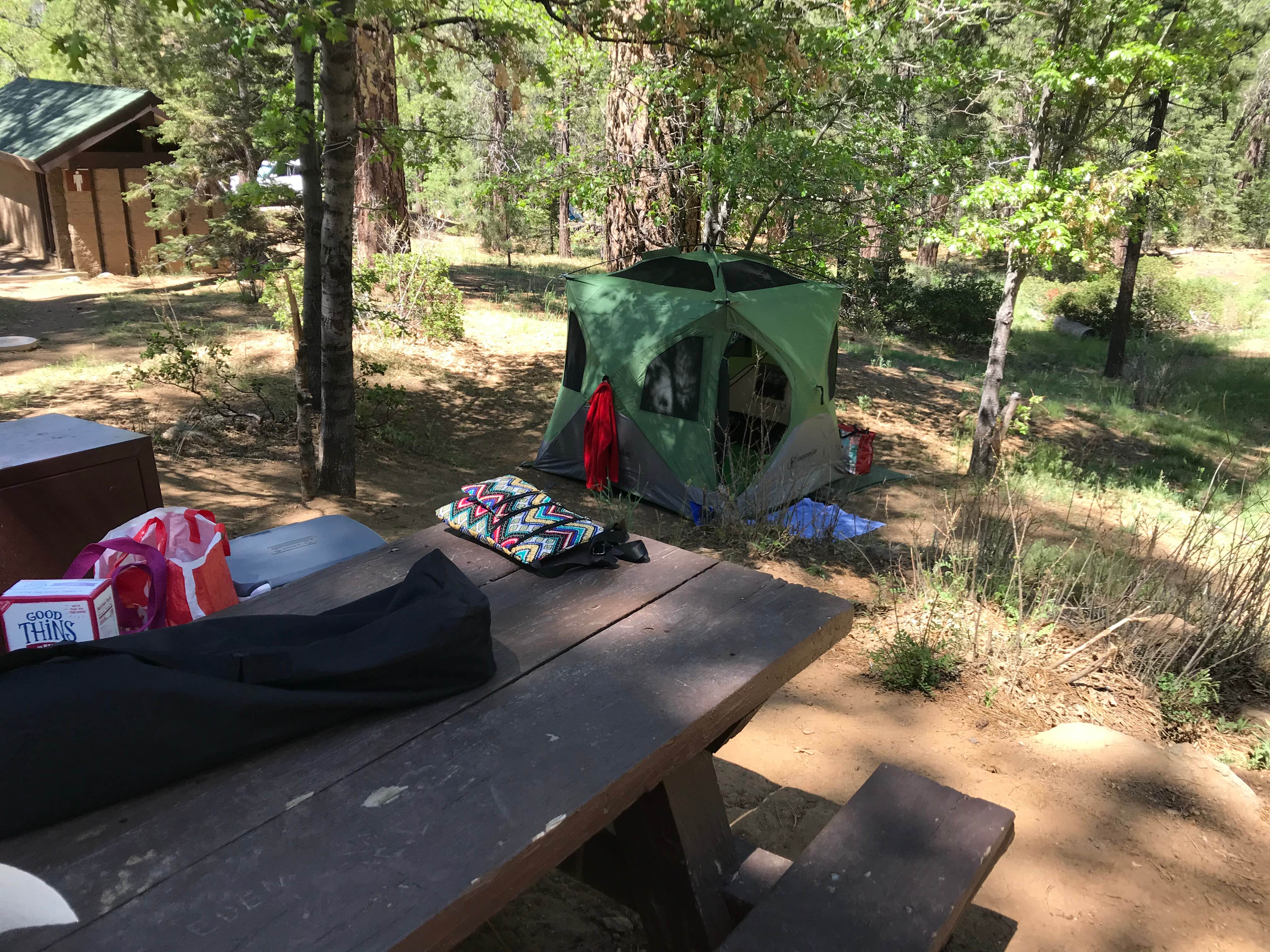 Camper submitted image from Pine Knot Campground - 1