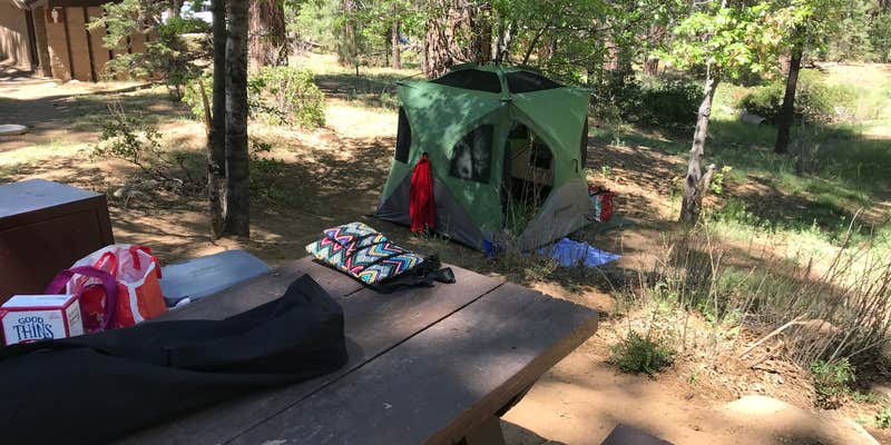 Camper submitted image from Pine Knot Campground