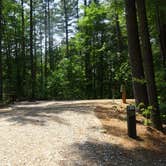 Review photo of Fort Hamby Park by Kirsten J., June 20, 2019