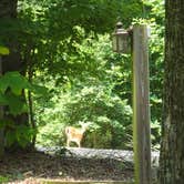 Review photo of Fort Hamby Park by Kirsten J., June 20, 2019