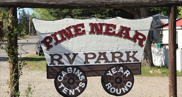 Pine Near RV Park