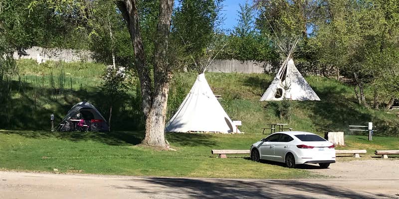 Camper submitted image from Pine Near RV Park