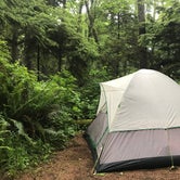 Review photo of Kalaloch Campground - group — Olympic National Park by Scott-Christy B., June 20, 2019