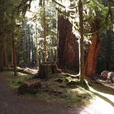 Review photo of Sol Duc Hot Springs Resort Campground — Olympic National Park by Scott-Christy B., June 20, 2019