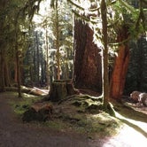 Review photo of Sol Duc Campground - Group — Olympic National Park by Scott-Christy B., June 20, 2019