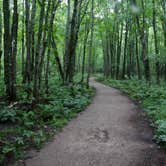 Review photo of Little Lake State Forest Campground by Mary H., June 20, 2019